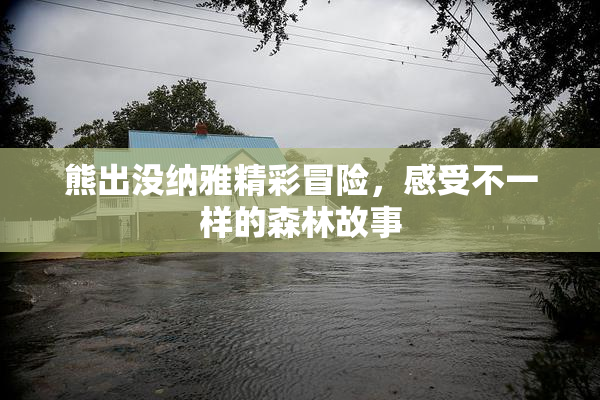 熊出没纳雅精彩冒险，感受不一样的森林故事