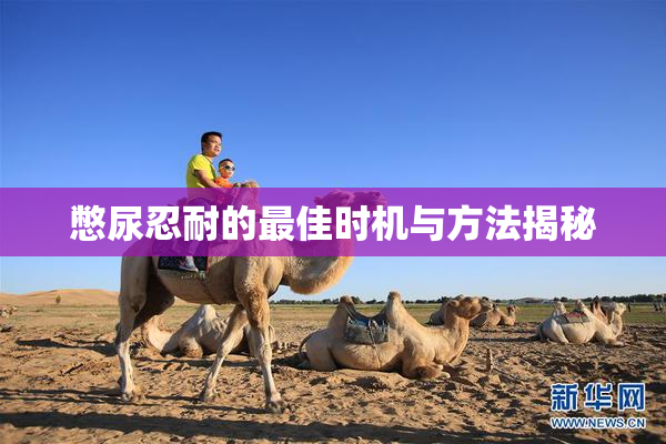 憋尿忍耐的最佳时机与方法揭秘