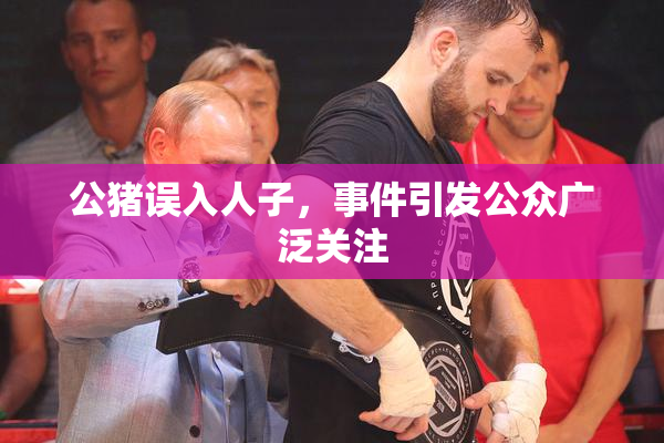 公猪误入人子，事件引发公众广泛关注