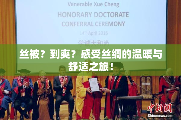 丝被？到爽？感受丝绸的温暖与舒适之旅！