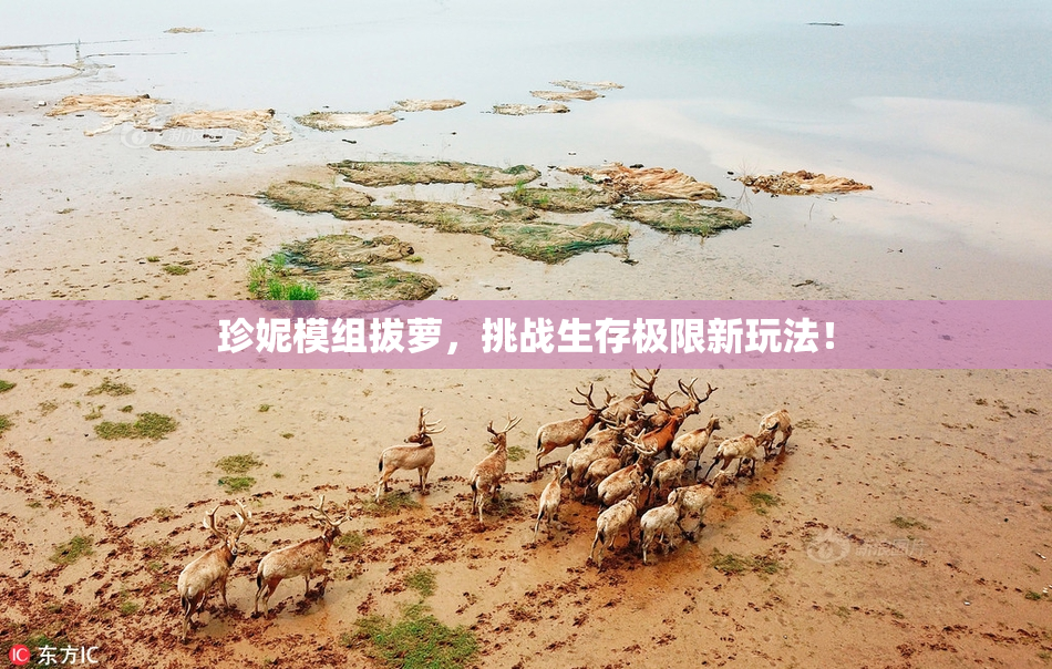 珍妮模组拔萝，挑战生存极限新玩法！