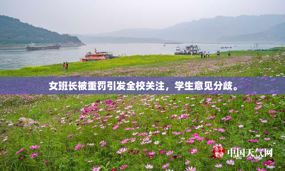 女班长被重罚引发全校关注，学生意见分歧。