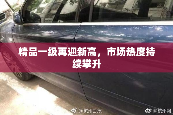 精品一级再迎新高，市场热度持续攀升