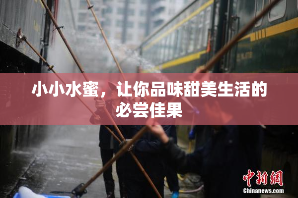 小小水蜜，让你品味甜美生活的必尝佳果