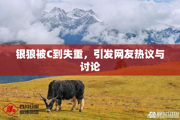 银狼被C到失重，引发网友热议与讨论
