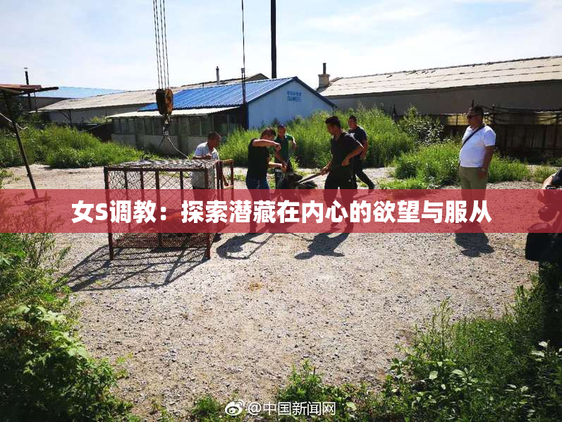 女S调教：探索潜藏在内心的欲望与服从