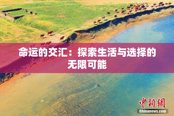 命运的交汇：探索生活与选择的无限可能
