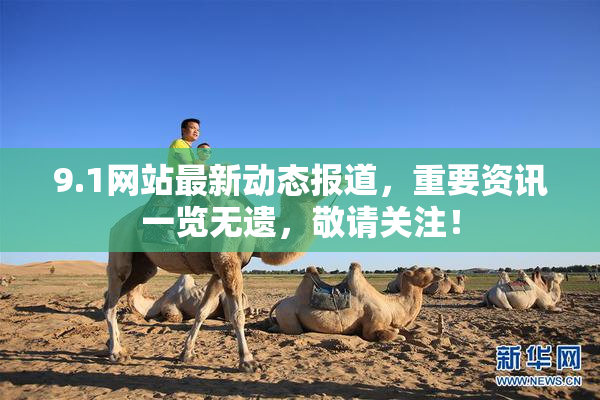9.1网站最新动态报道，重要资讯一览无遗，敬请关注！