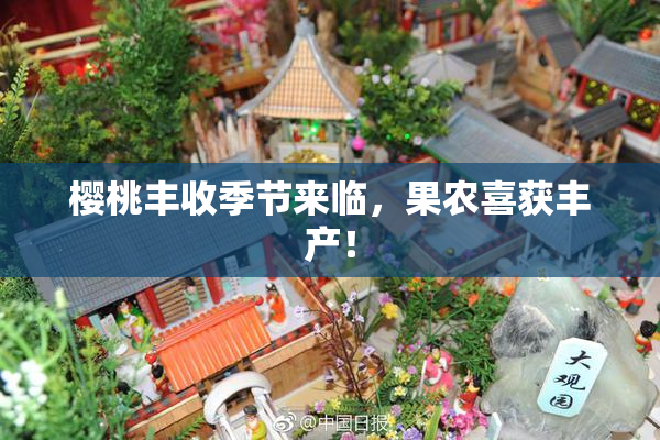 樱桃丰收季节来临，果农喜获丰产！