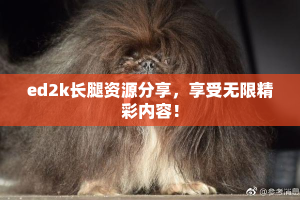 ed2k长腿资源分享，享受无限精彩内容！