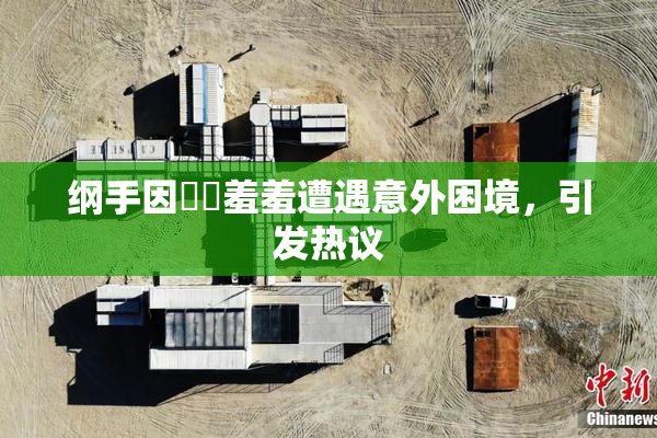 纲手因❌‌羞羞遭遇意外困境，引发热议