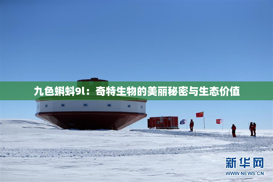 九色蝌蚪9l：奇特生物的美丽秘密与生态价值
