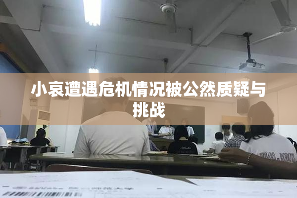小哀遭遇危机情况被公然质疑与挑战