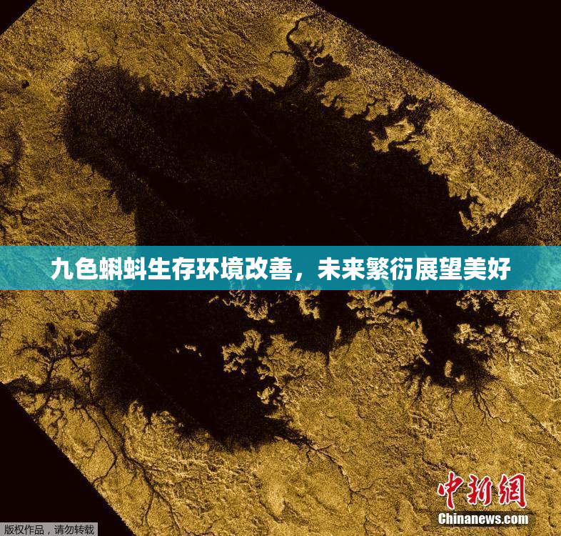 九色蝌蚪生存环境改善，未来繁衍展望美好