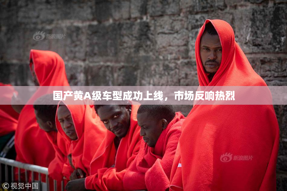 国产黄A级车型成功上线，市场反响热烈