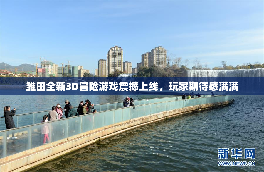 雏田全新3D冒险游戏震撼上线，玩家期待感满满