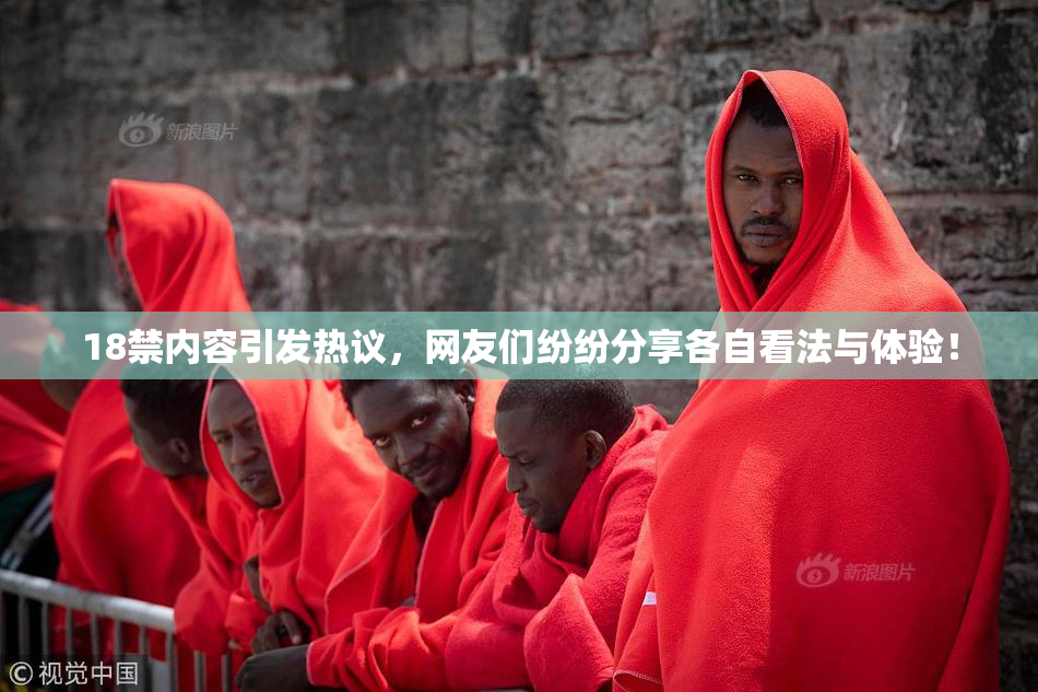 18禁内容引发热议，网友们纷纷分享各自看法与体验！