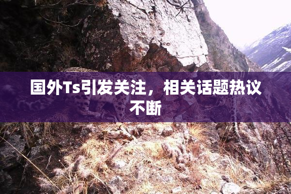 国外Ts引发关注，相关话题热议不断
