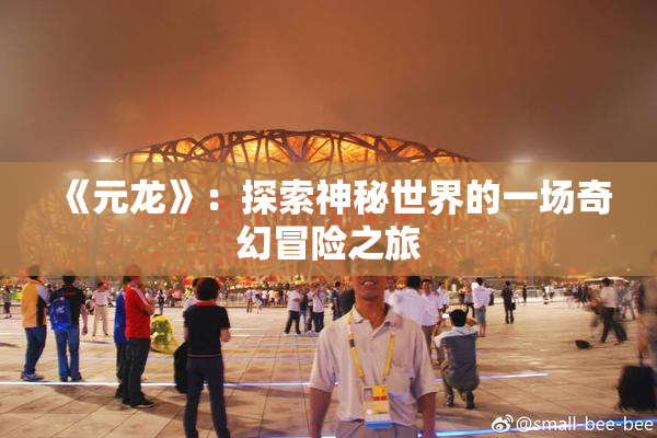 《元龙》：探索神秘世界的一场奇幻冒险之旅