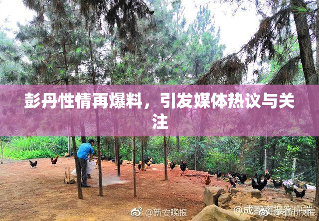 彭丹性情再爆料，引发媒体热议与关注
