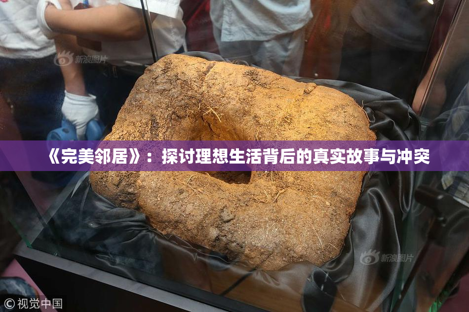 《完美邻居》：探讨理想生活背后的真实故事与冲突