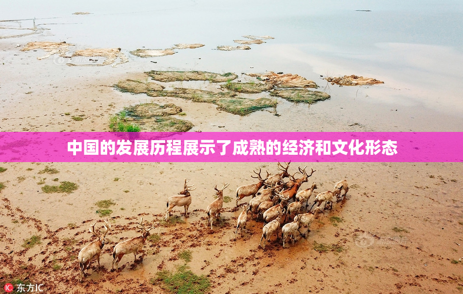 中国的发展历程展示了成熟的经济和文化形态