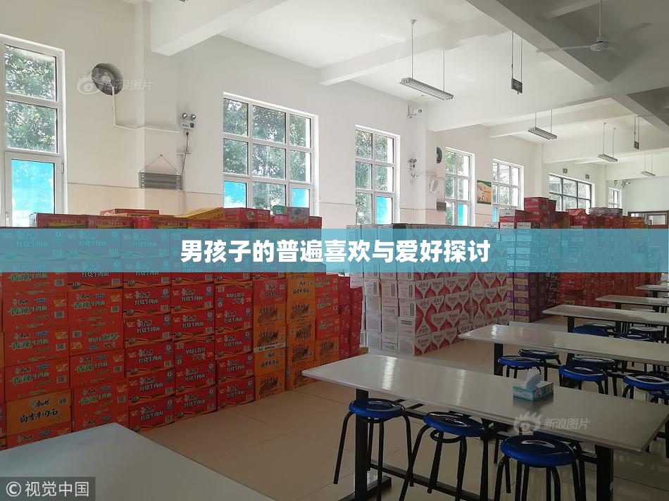 男孩子的普遍喜欢与爱好探讨