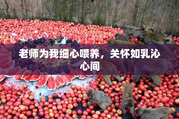 老师为我细心喂养，关怀如乳沁心间