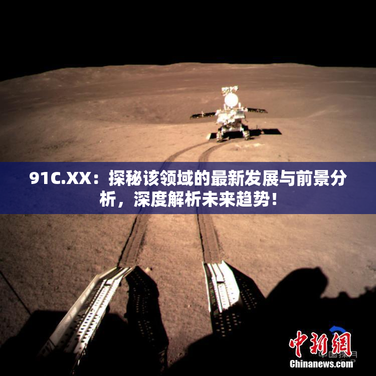 91C.XX：探秘该领域的最新发展与前景分析，深度解析未来趋势！
