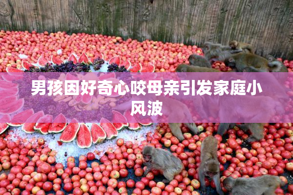 男孩因好奇心咬母亲引发家庭小风波