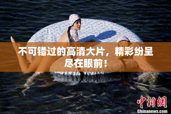 不可错过的高清大片，精彩纷呈尽在眼前！