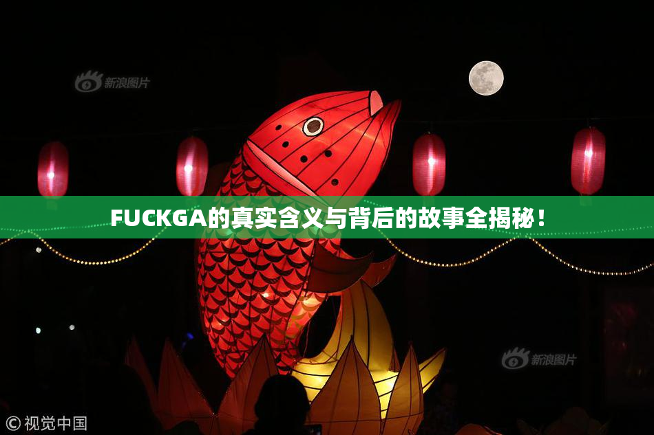 FUCKGA的真实含义与背后的故事全揭秘！