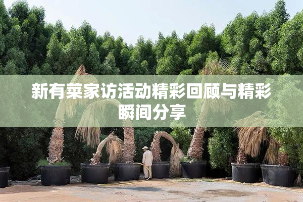 新有菜家访活动精彩回顾与精彩瞬间分享