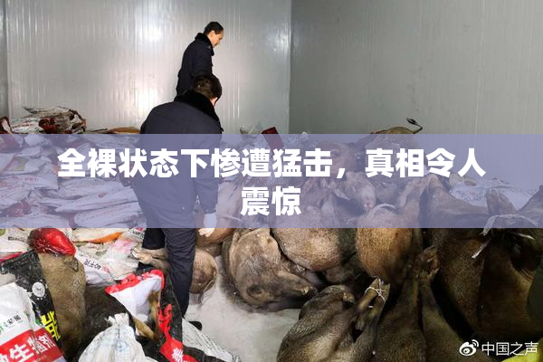 全裸状态下惨遭猛击，真相令人震惊