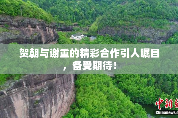贺朝与谢重的精彩合作引人瞩目，备受期待！