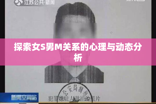 探索女S男M关系的心理与动态分析