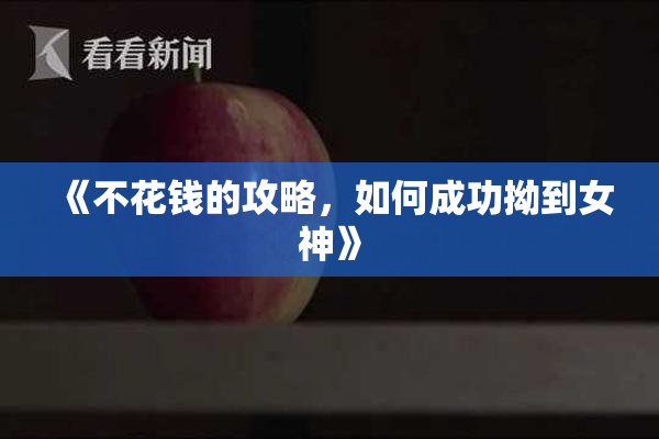 《不花钱的攻略，如何成功拗到女神》