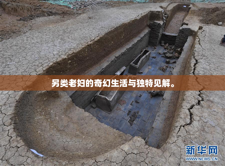 另类老妇的奇幻生活与独特见解。