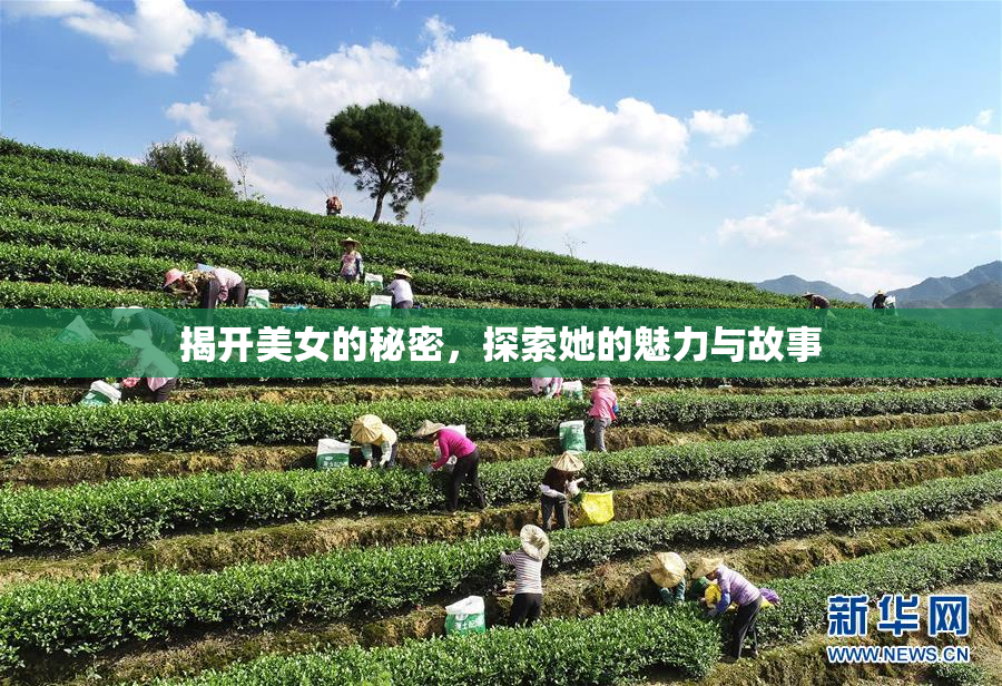 揭开美女的秘密，探索她的魅力与故事