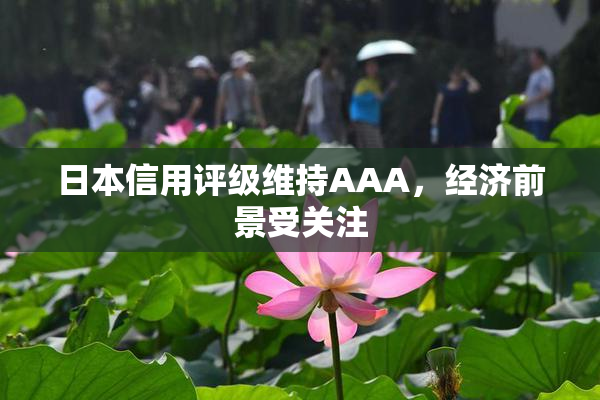日本信用评级维持AAA，经济前景受关注
