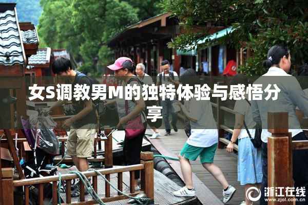 女S调教男M的独特体验与感悟分享