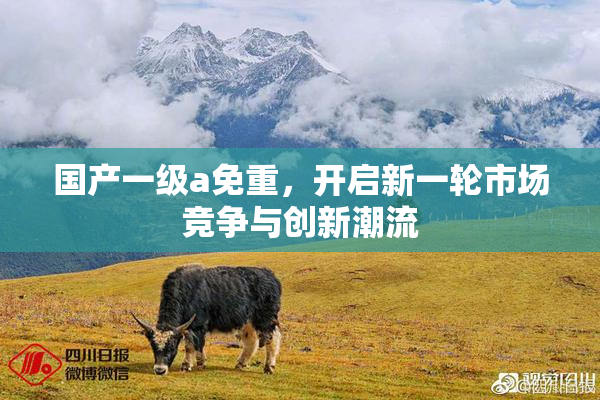 国产一级a免重，开启新一轮市场竞争与创新潮流