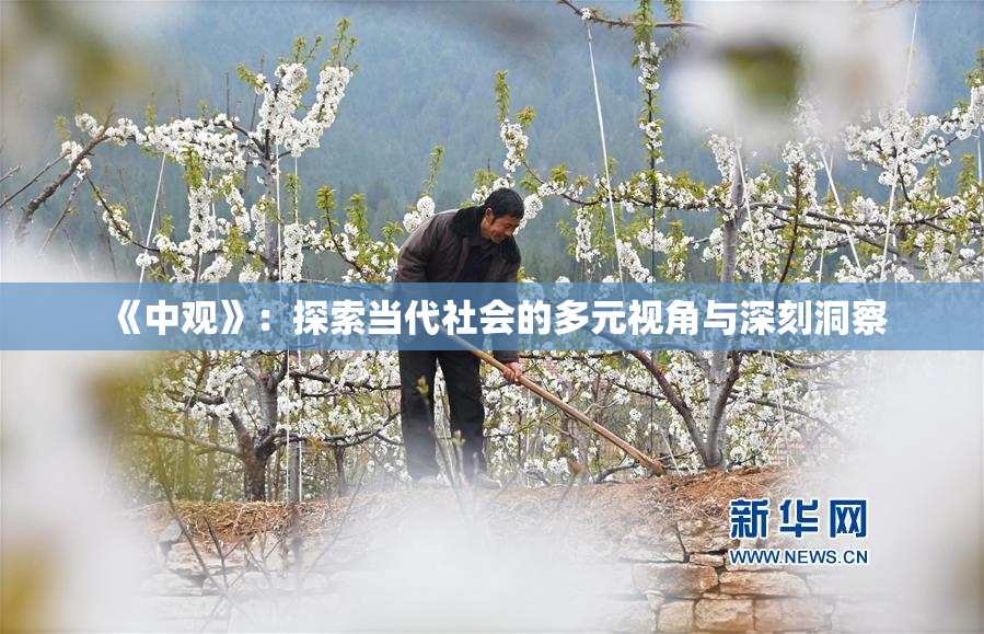 《中观》：探索当代社会的多元视角与深刻洞察