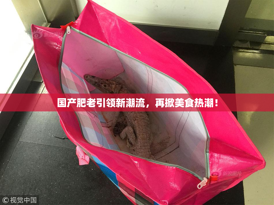 国产肥老引领新潮流，再掀美食热潮！