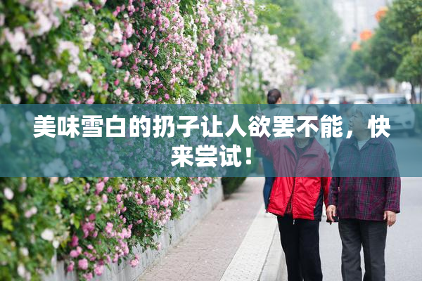 美味雪白的扔子让人欲罢不能，快来尝试！