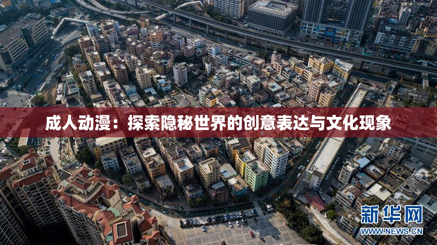 成人动漫：探索隐秘世界的创意表达与文化现象