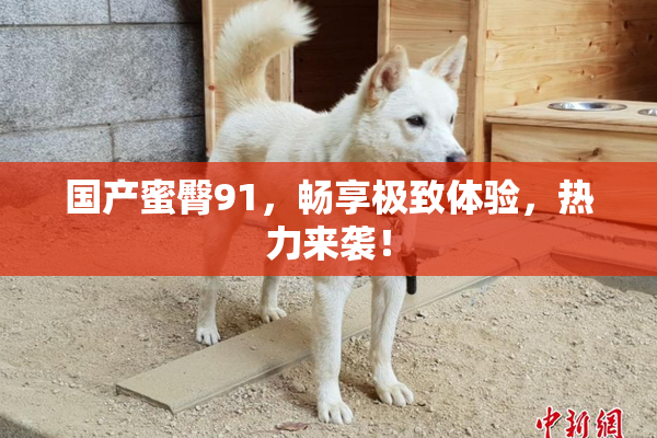 国产蜜臀91，畅享极致体验，热力来袭！