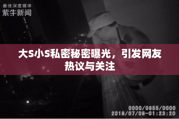 大S小S私密秘密曝光，引发网友热议与关注