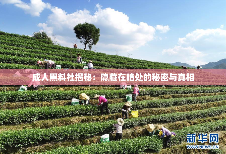 成人黑料社揭秘：隐藏在暗处的秘密与真相