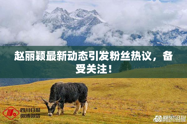 赵丽颖最新动态引发粉丝热议，备受关注！